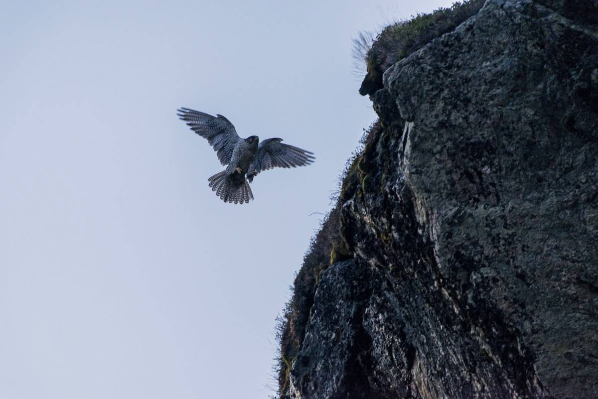 Foto: Nils-Olav Talgøy