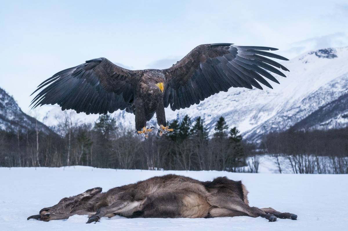 Foto: Nils-Olav Talgøy