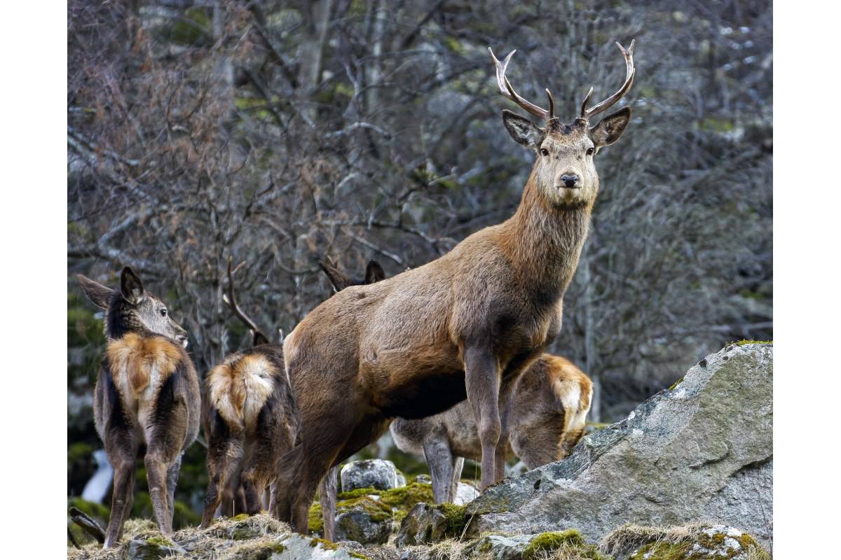 OPPDAGET: Men ikke avslørt, og takk for det!