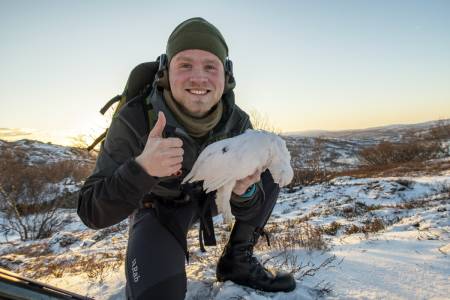 Rypejakt - råd og tips for beste rypejakt - JEGER.NO