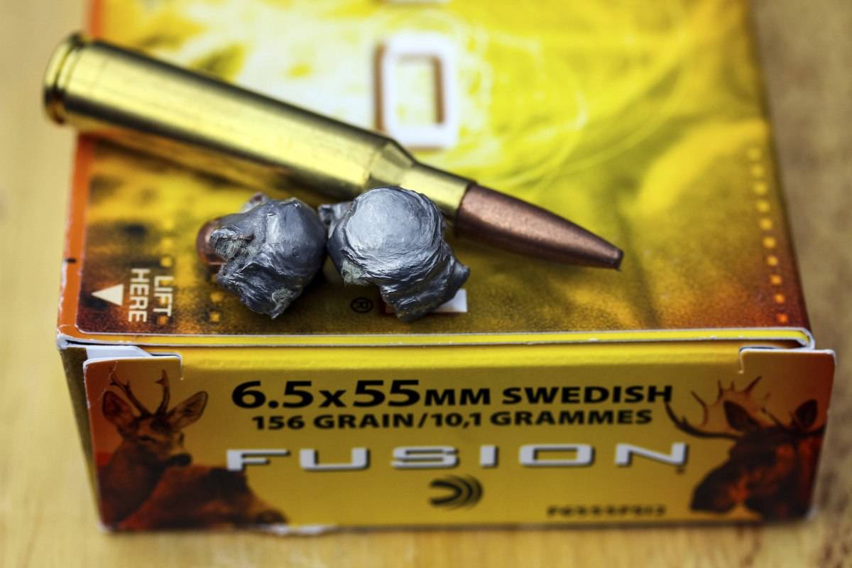 TØFT MØTE: Kula tåler et tøft møte med elgboger.
