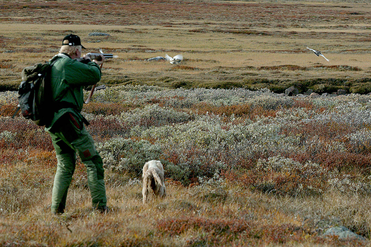 Rypetall fra Finnmarkseiendommen Rypejakt JEGER.NO